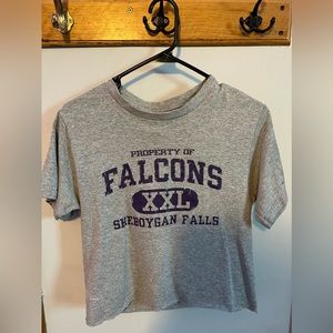 Women’s Sheboygan Falls Cropped T-shirt